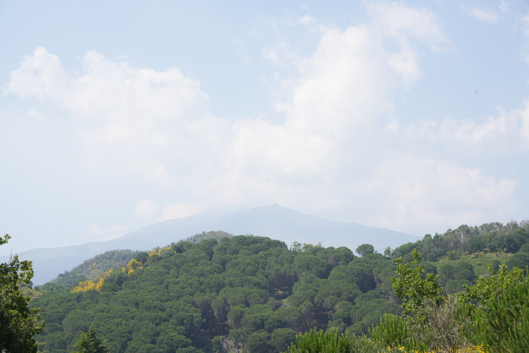 Il verde del versante e il profilo dell’Etna visti dalla finestra della suite